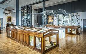Lapworth Museum of the Year