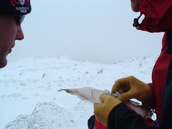 Winter at the Raymond Priestley Centre