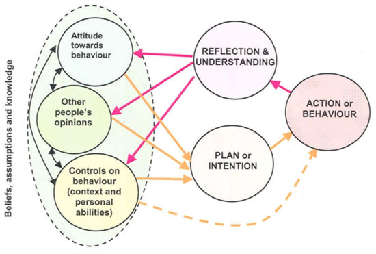 Diagram showing feedback loop
